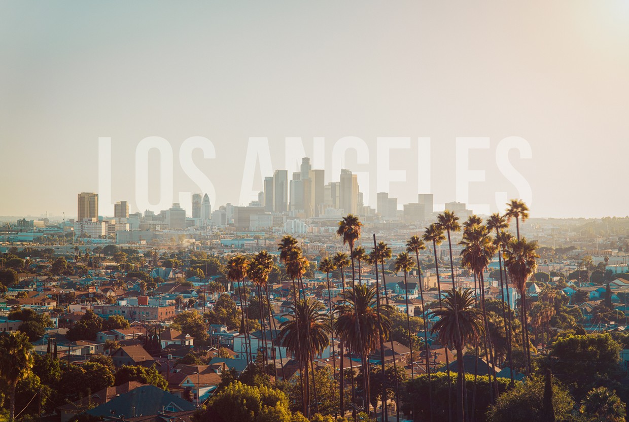 Los Angeles Cityscape Wall Art TheErwinM