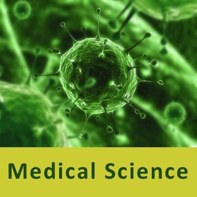 Biology Quick Review - DNA
