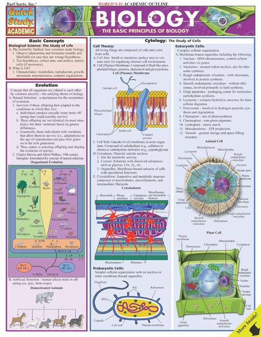 Basic Principles of Biology Quick Review - Examville