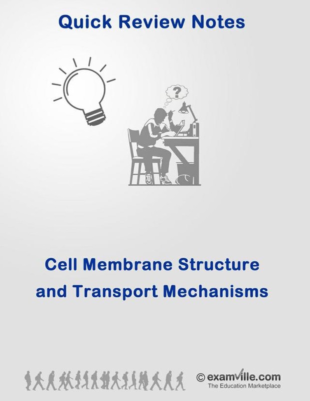 Biology Review: Cell Membrane and Cell Transport