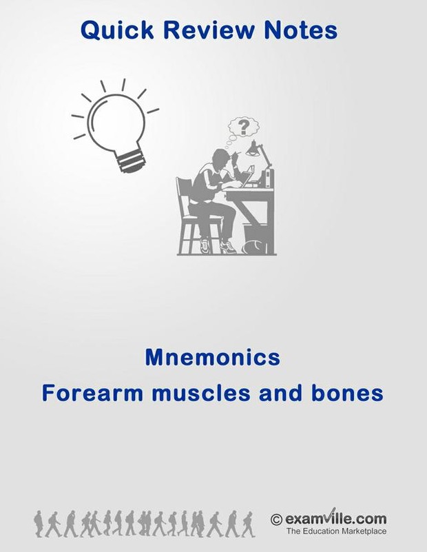 Mnemonic for Forearm Muscles and Bones