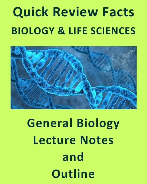 A Tour of the Cell (Quick Biology Review and Handout)