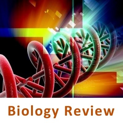 General Biology Quick Review Notes and Outline (20 Unit Pack)