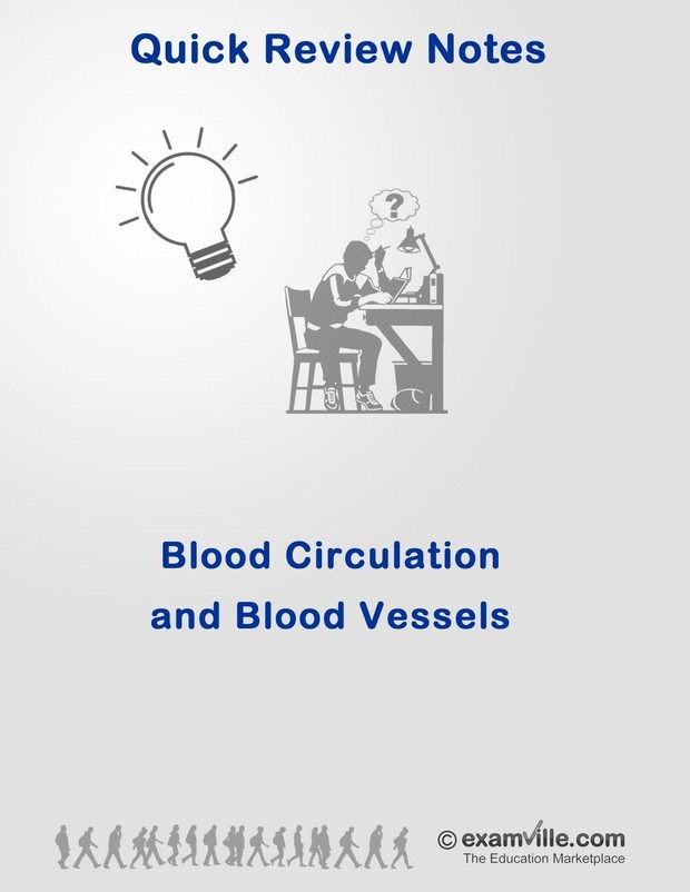 Circulatory System and Blood Vessels