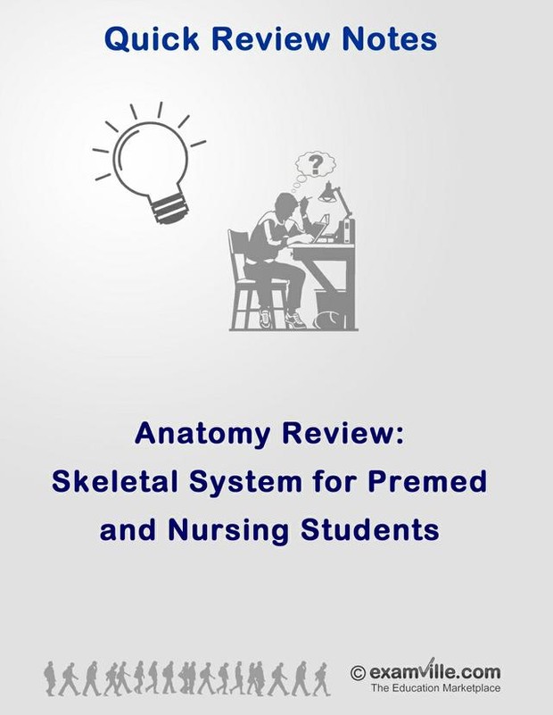 Skeletal System Review for Nursing Students