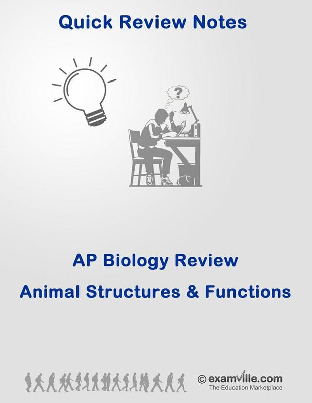Biology Review: Animal Structures and Functions
