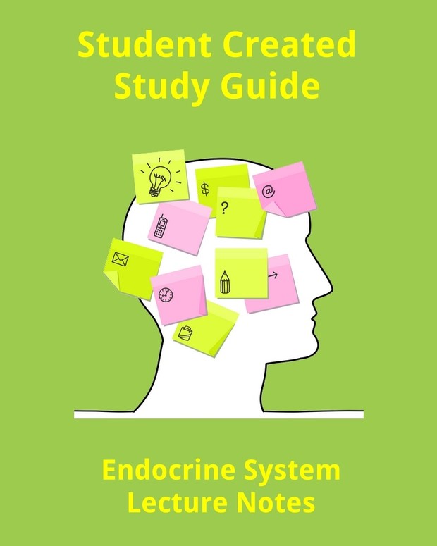 Student Created Endocrine System Lecture Notes