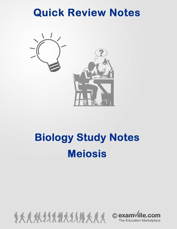 Biology Review: Meiosis