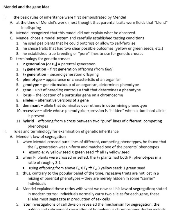 Mendel and How Genes Work (Quick Biology Review and Handout)