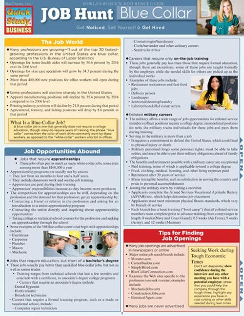Job Hunt Blue Collar Examville