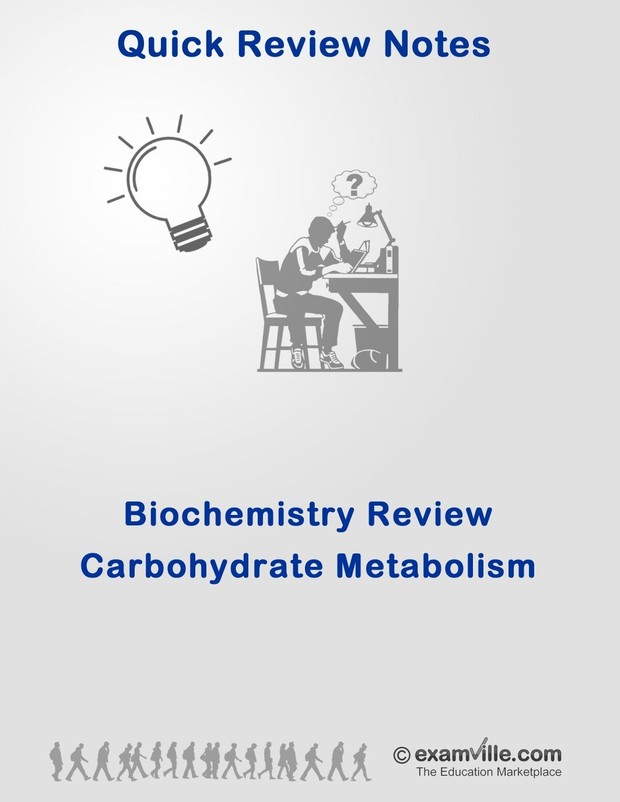 Carbohydrate Metabolism Review Notes