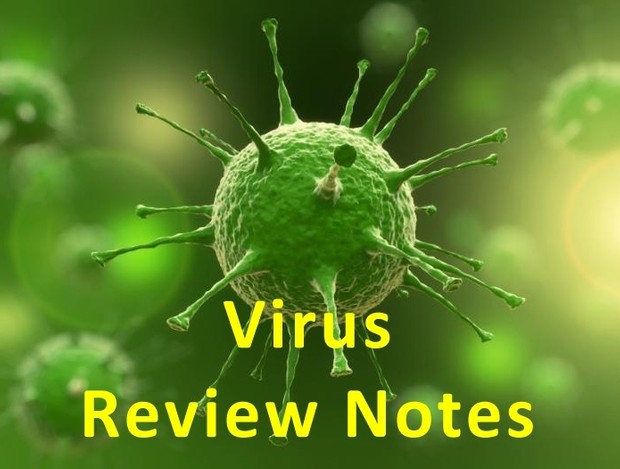 Virus - Quick Review Notes