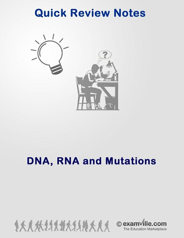 Quick Review of DNA and RNA