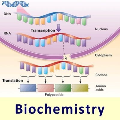 Structural Individuality of DNA