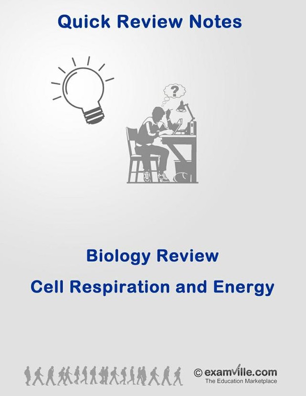 Biology Review - Cell Respiration