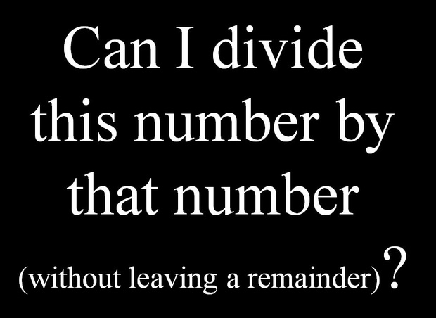 Can I Divide This Number By That Number Without Leaving A Remainder?