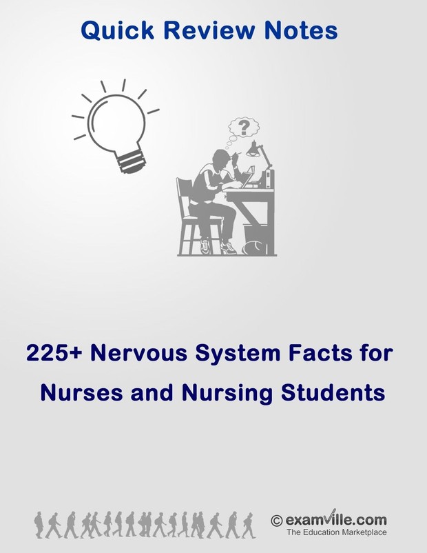 225+ Human Nervous System Facts for Nursing and Health Science Students