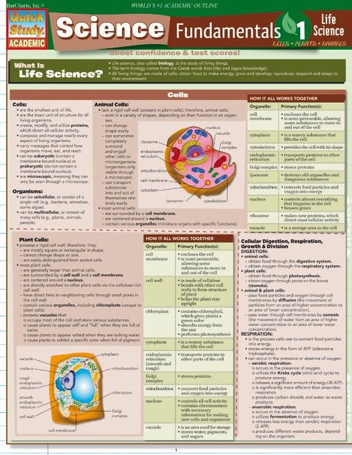 Science Fundamentals 1 Cells-Plants-Animals