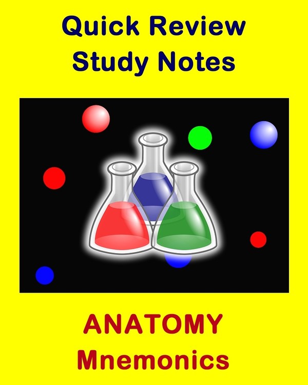 Anatomy Mnemonics for Health Sciences Students and Edu - Examville