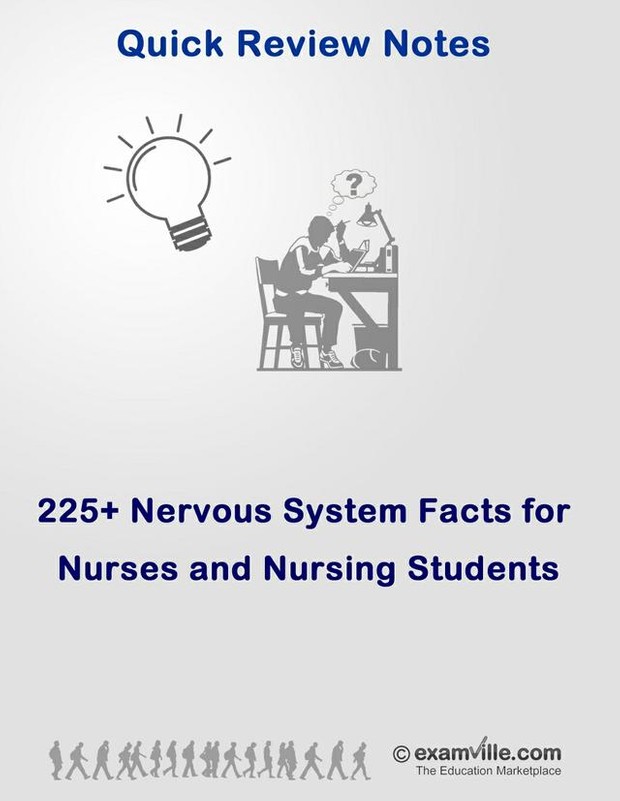 225+ Nervous System Facts for Nurses and Nursing Students