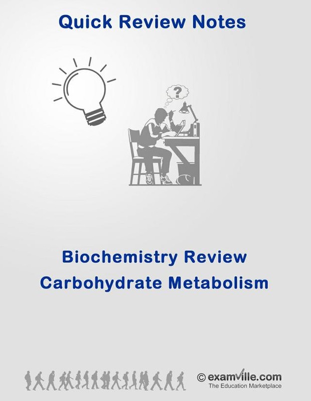 Biochemistry Review - Carbohydrate Metabolism