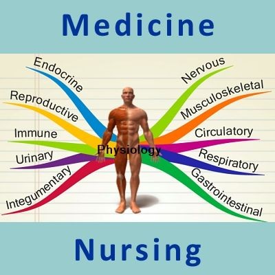 The Urinary System Review for Premed and Nursing Students