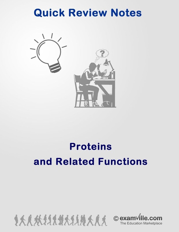 Protein and Related Functions Review Notes