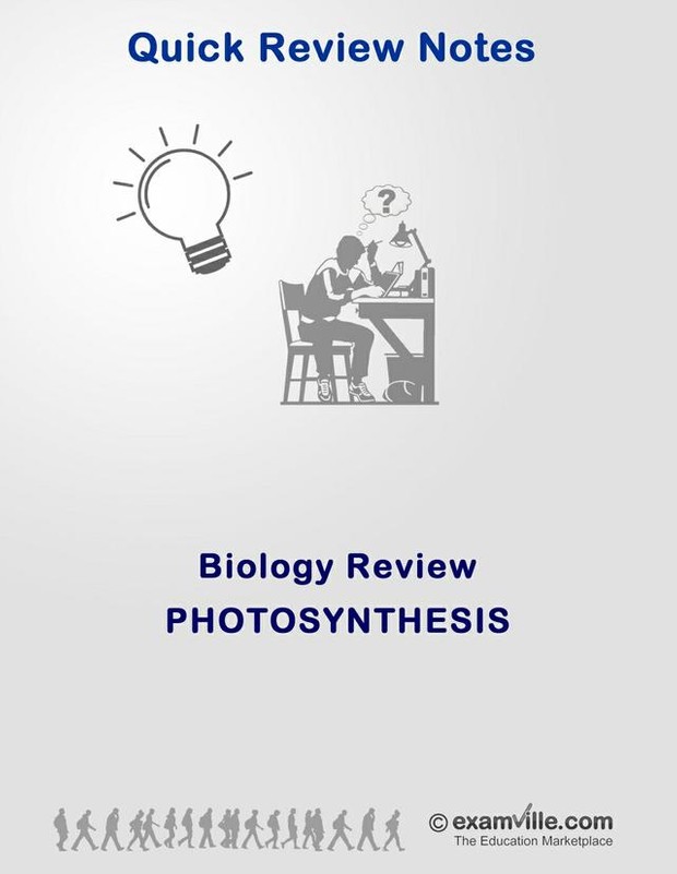 Biology Review: Photo Synthesis