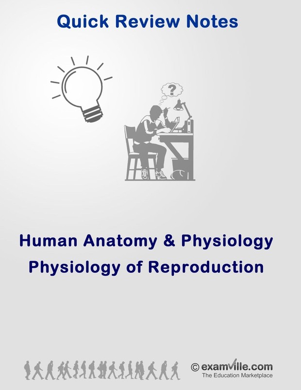 Physiology of Human Reproduction (Quick Study Review Notes)