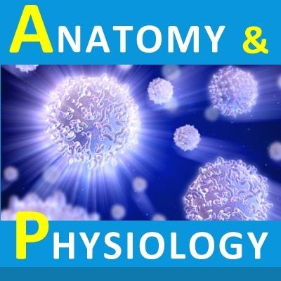 Mnemonics for Nurses