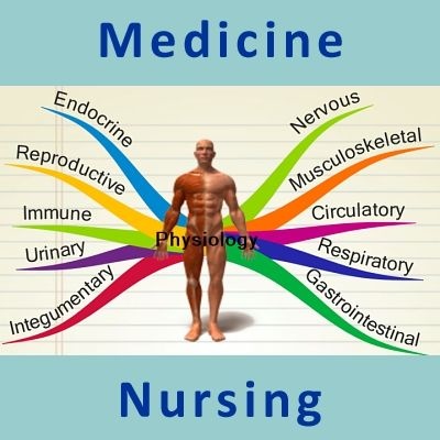 Renal System Review