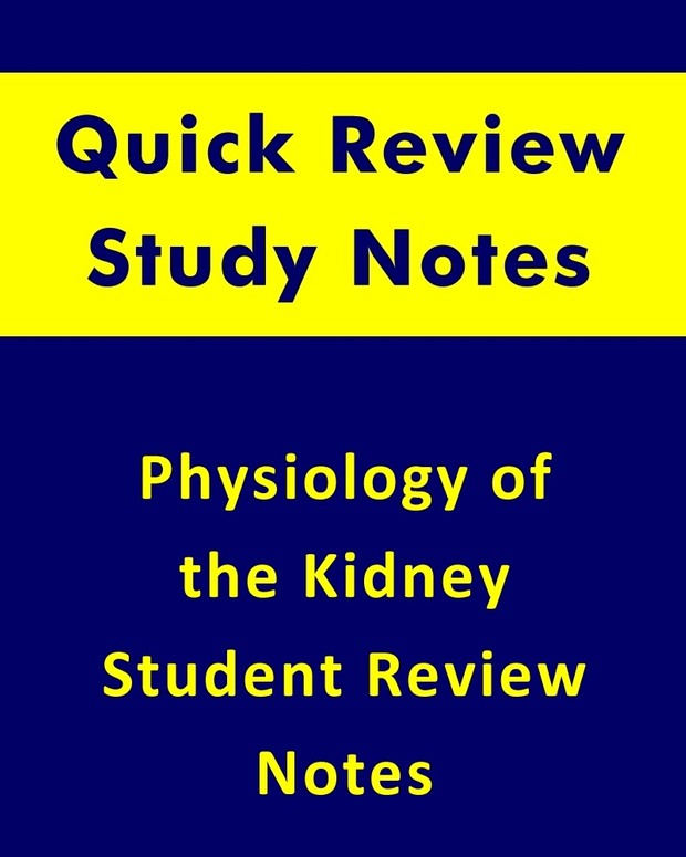 Physiology of the Kidney Quick Review Study Notes