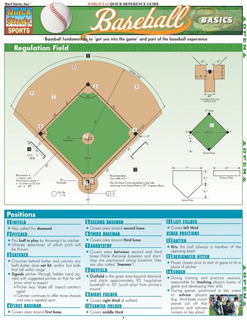 Baseball Basics - Examville