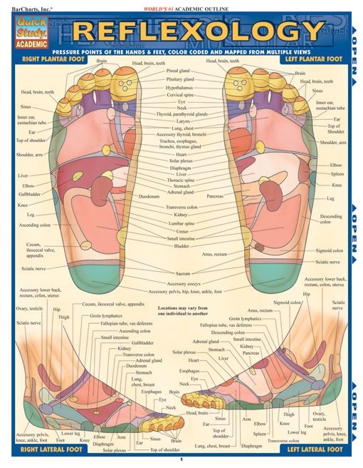 Reflexology - Examville