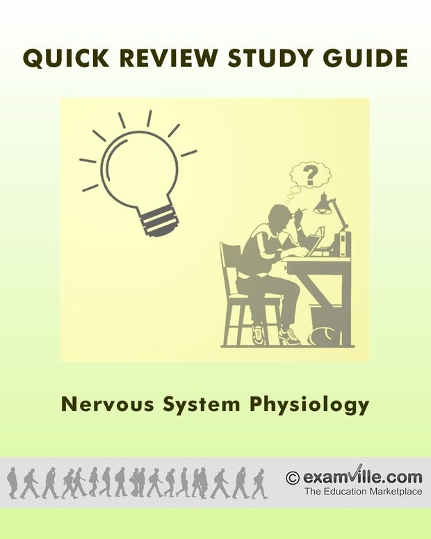 Quick Review Notes: Nervous System Physiology
