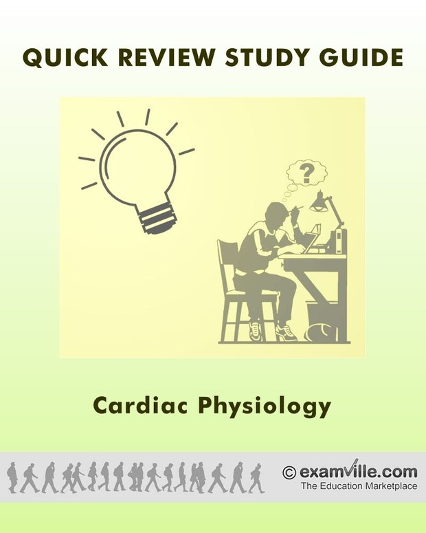 Quick Review Notes: Cardiac Physiology