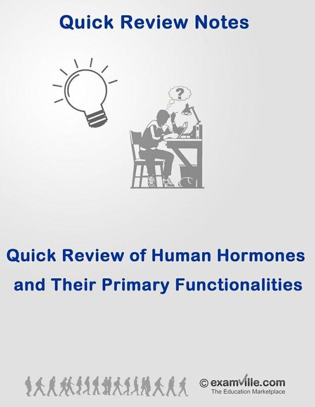 Quick Review of Human Hormones and Their Primary Functions
