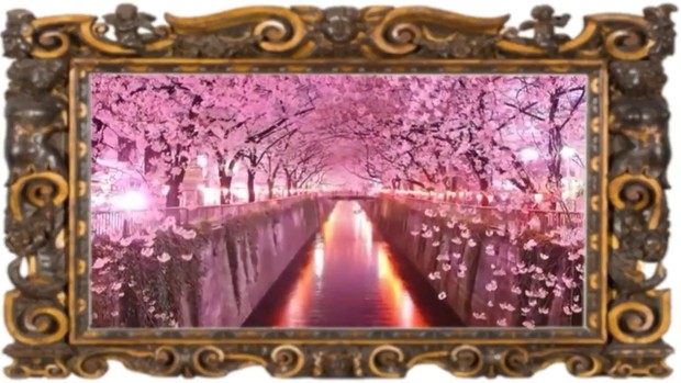 Frames 4 Video Content/Download Sample 4 FREE