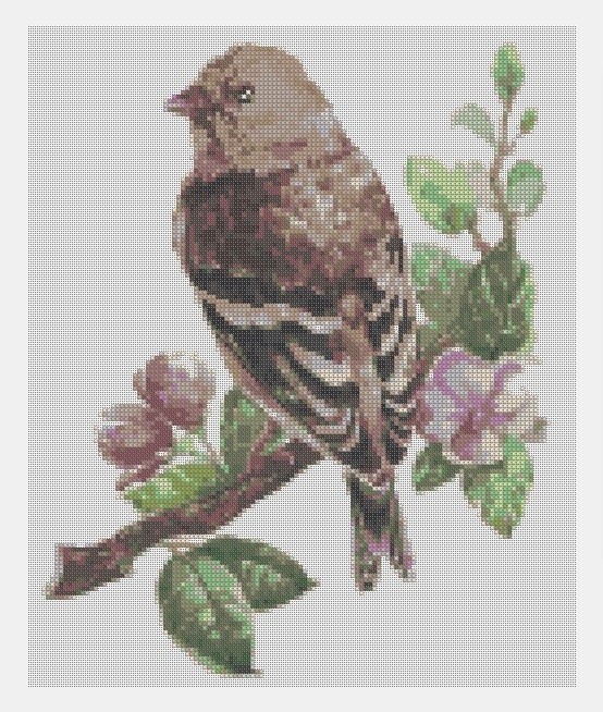 Cross Stitch PDF Bird