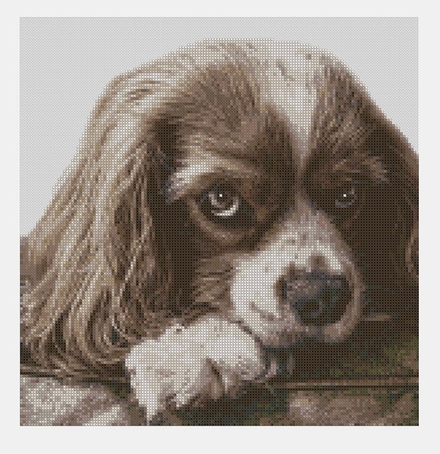 Cross Stitch PDF Dog