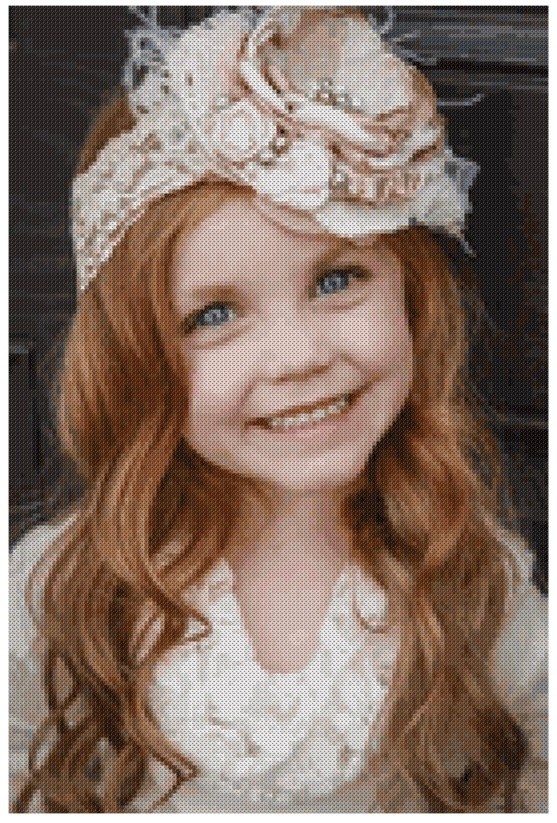 Transform your photo into cross stitch pattern