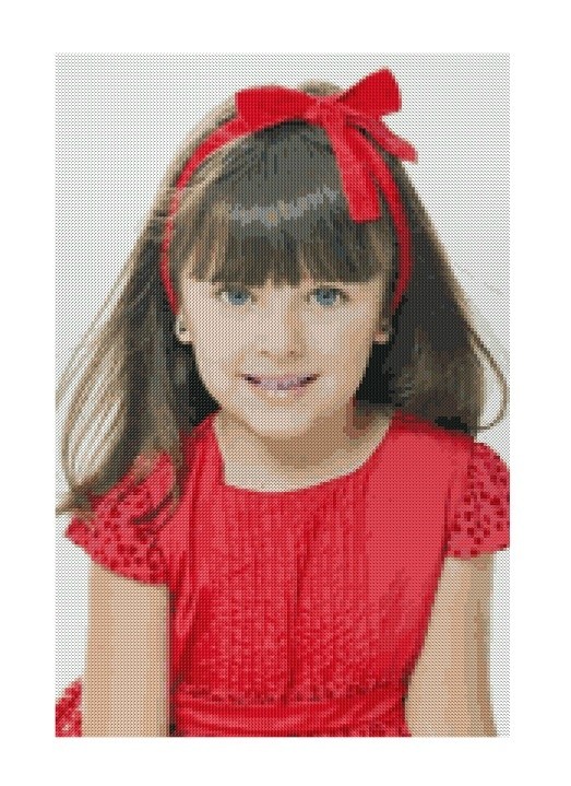 Transform your photo into cross stitch pattern