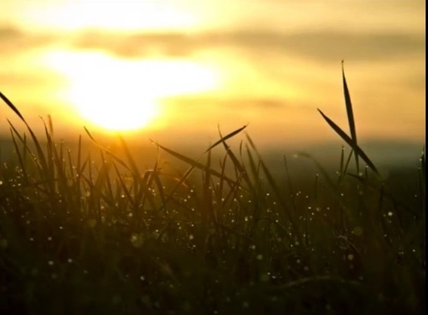 Guided Morning Meditation For Positive Energy to Start Your Day mp3