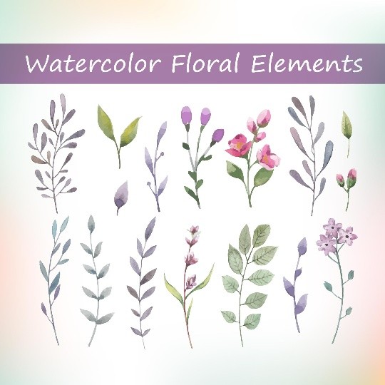 16 Watercolor floral elements