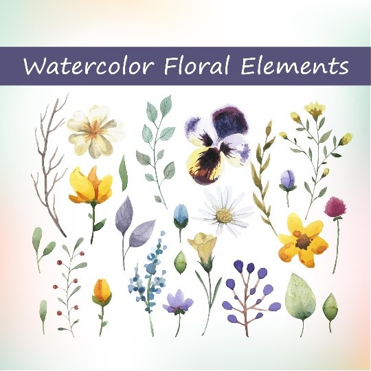 25 Watercolor floral elements