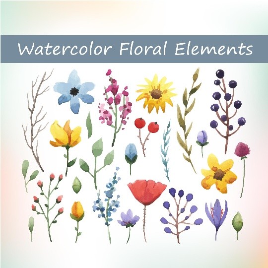 Watercolor floral elements set