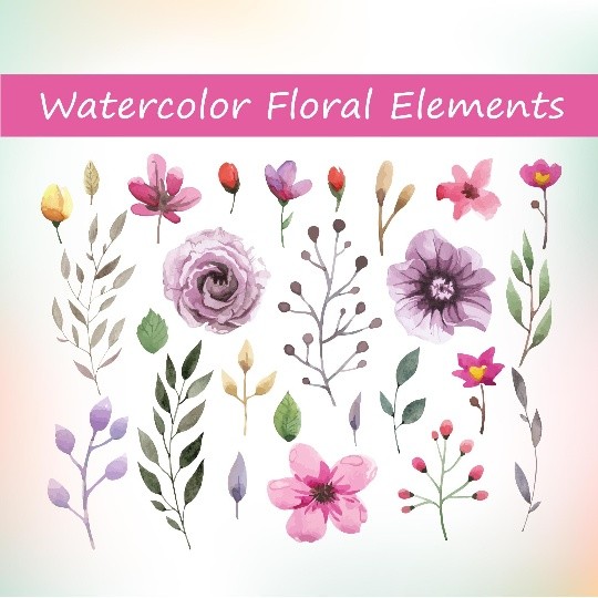 26 Watercolor floral elements