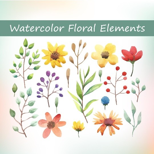 Watercolor floral elements set 2
