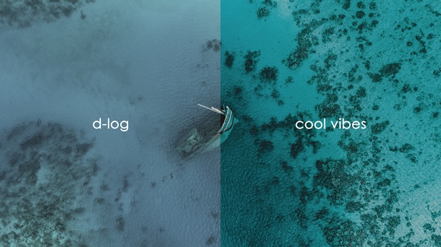 FIlmmaker Essentials LUTs (Sony's Cine4,Slog2,Slog3 - DJi's DLOG & more!