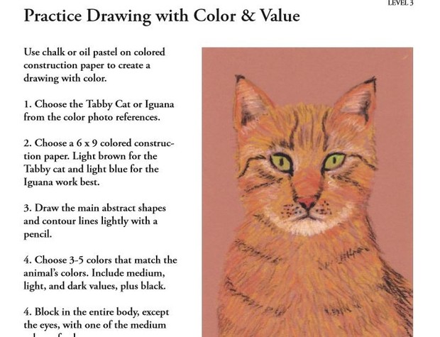 The Fundamentals of Drawing, Written By Brook Mesenbrink